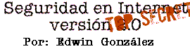 Titulo Seguridad en Internet TOP SECRET